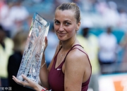 科维托娃在瑞士队比赛中关键助攻，赛况扑朔迷离引发热议！的简单介绍